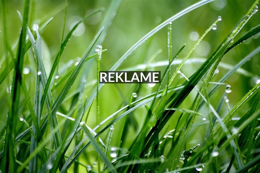 Regntoj til born og babyer